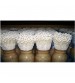 Thanvi Shroomness Mushroom Cultivation Suppliment 4.5 Kg